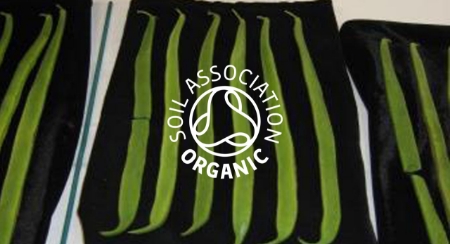 Picture for category Organic Runner Beans